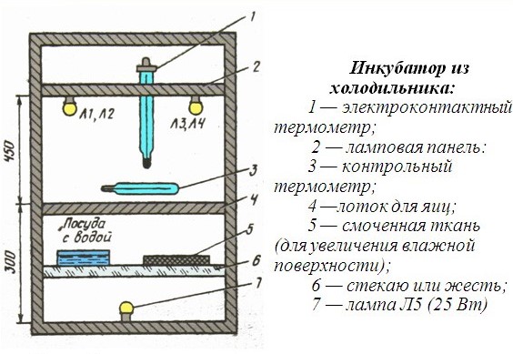 Инкубатор своими руками (детали)